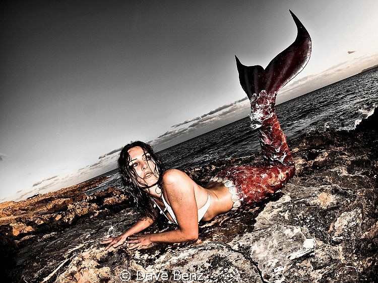 I think, I gonna bring you back in the ocean...beautiful ... by Dave Benz 