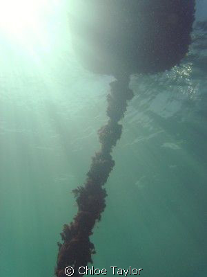 Abrolhos Islands ;) by Chloe Taylor 