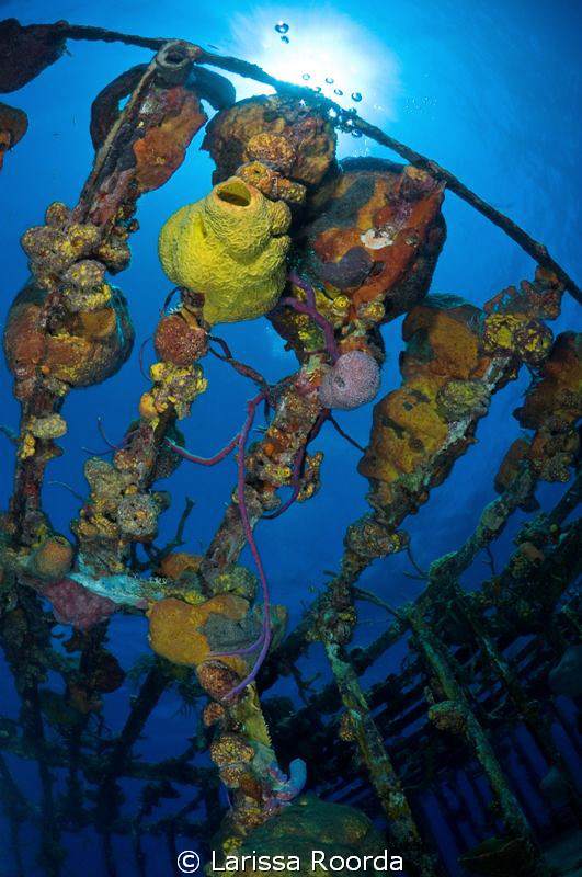 Sponge shot, wreck by Larissa Roorda 