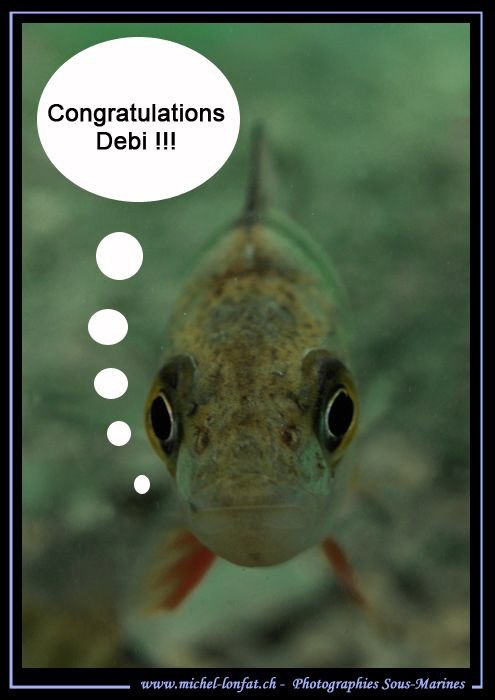 Bravo Debi for your Price (Best Women photographer) at th... by Michel Lonfat 