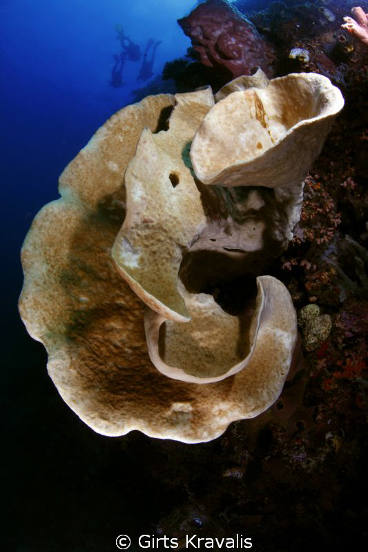 Bunaken diving by Girts Kravalis 