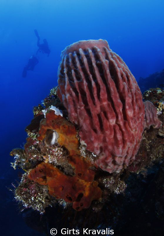 Bunaken diving by Girts Kravalis 