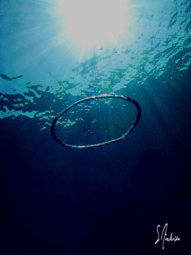 This image of a air ring was taken while finishing a safe... by Steven Anderson 