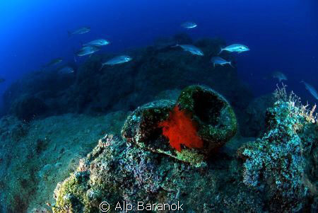 Amphora and jacks from Kemer/Antalya/Turkiye. by Alp Baranok 