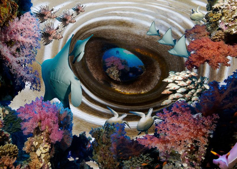 It is all in the eye of the beholder ;-) by Barbara Schilling 