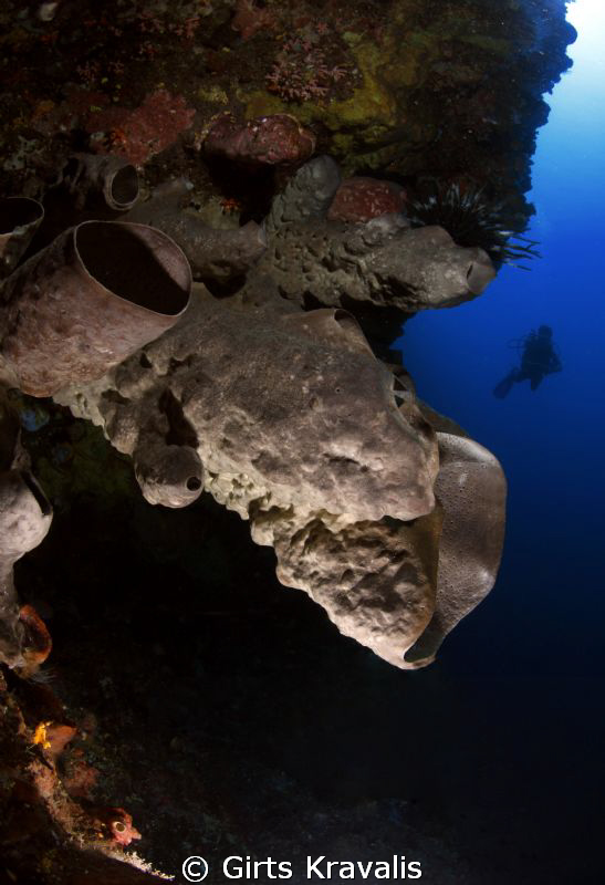 Bunaken diving by Girts Kravalis 