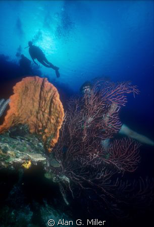 Shot of Kodachrome 64 using a Nikonos V, 15 mm lens, and ... by Alan G. Miller 