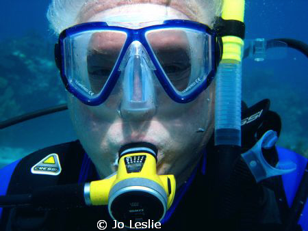 diving fool by Jo Leslie 