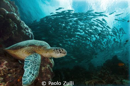 "The vortex" canon 450D-10-22 by Paolo Zulli 