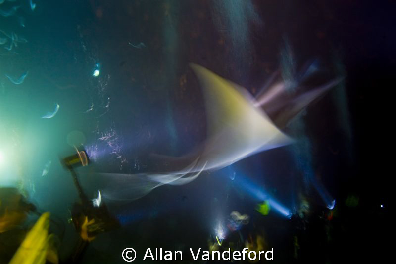 Fantasy of flight. by Allan Vandeford 