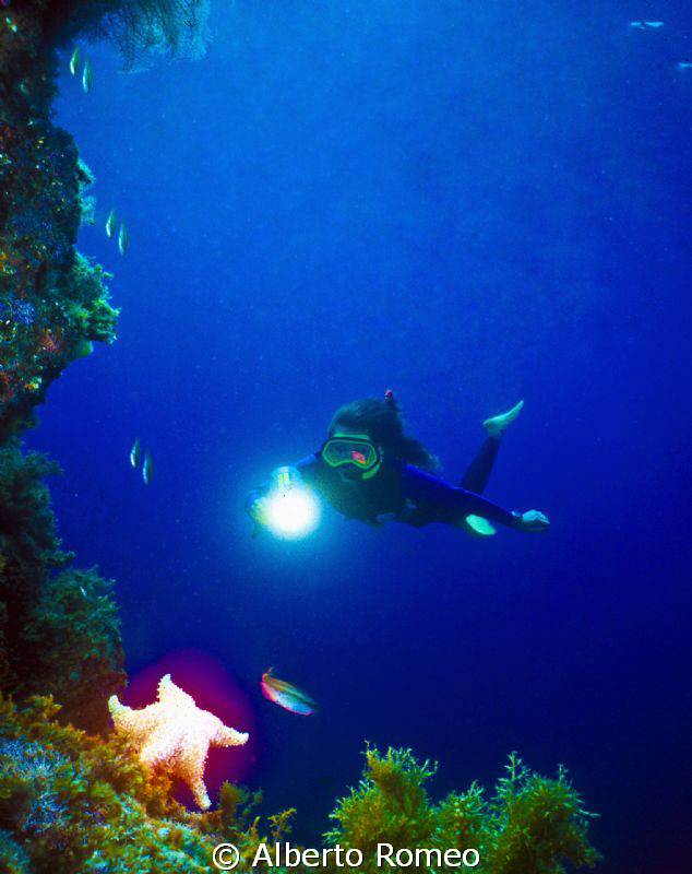 The diver is lighting the starfish that is ligting by a s... by Alberto Romeo 