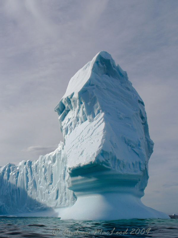 The Ice has it! by Andrew Macleod 
