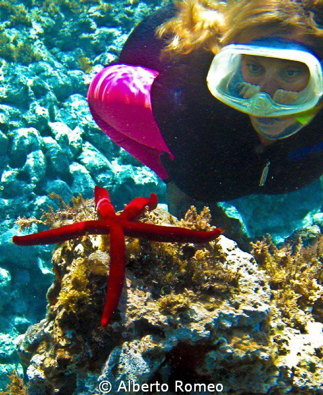 The skindiver is watching a red fishstar by Alberto Romeo 
