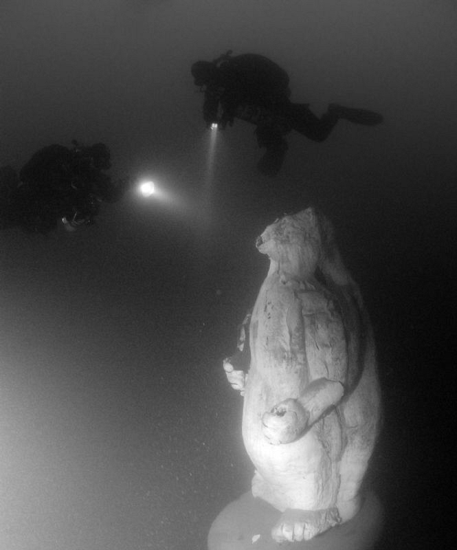 Icebear in the lake Attersee in Austria by Andy Kutsch 