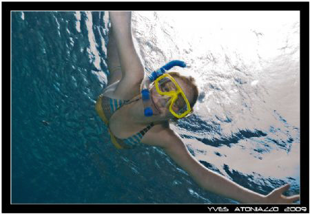 One of my Open Water students came to say hello while I w... by Yves Antoniazzo 