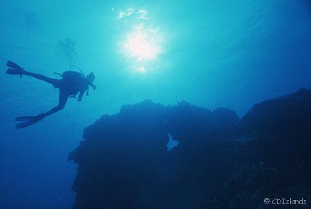 Blue Diver, Cozumel, Mexico, Nikon N50 in Ikelite Housing... by Pauline Jacobson 