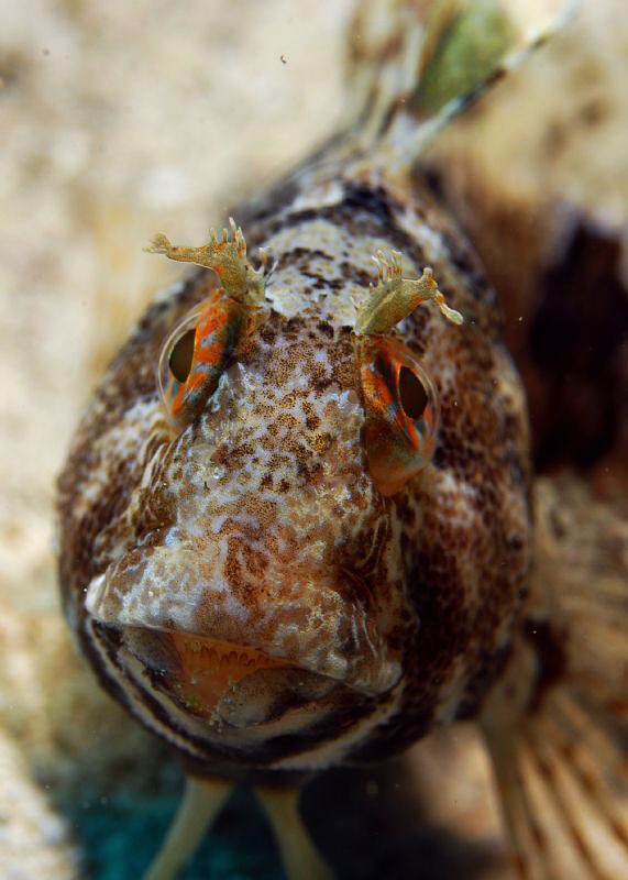 little one curious! by Andy Kutsch 