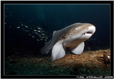 Ready to take of        Nikon D200/12-24mm by Yves Antoniazzo 