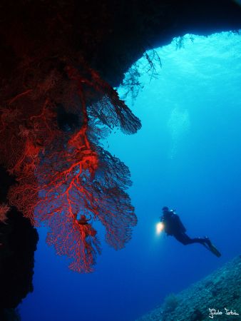 Caves. Taken with Olympus E-20 in Titan housing with wide... by Istvan Juhasz 