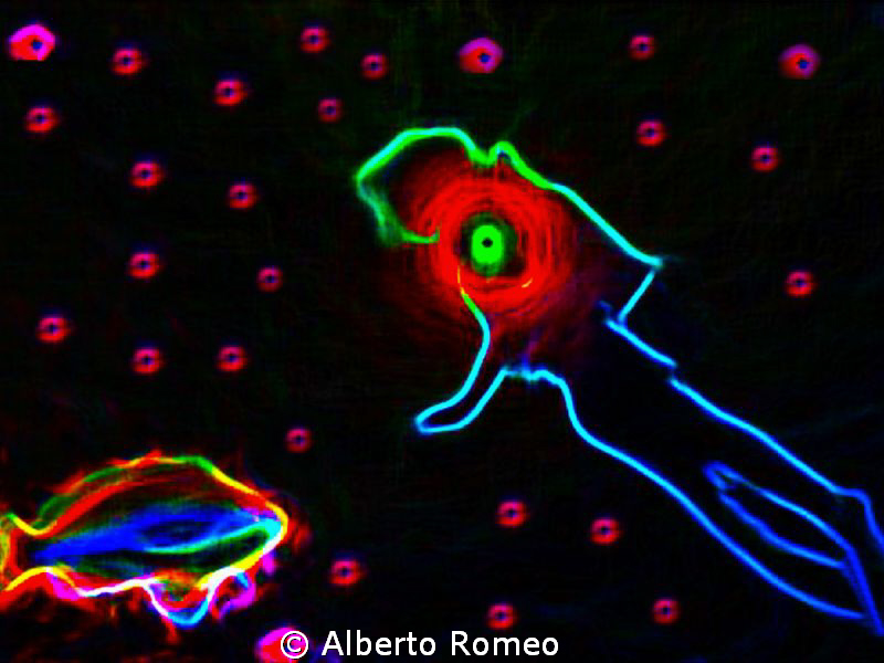 Diver and fish + neon filter PS by Alberto Romeo 