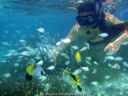 snorkeling by Stavros Paraskevopoulos 