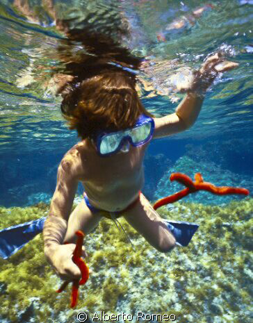 My son at the age of 7  taken 2 red  fishstars but quickl... by Alberto Romeo 