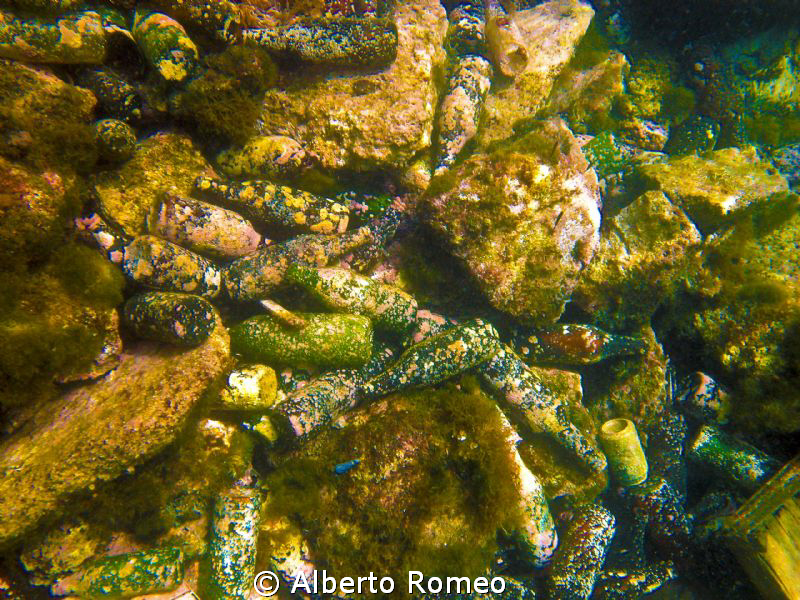 Pollution of bottles in a little harbour of Sicily by Alberto Romeo 