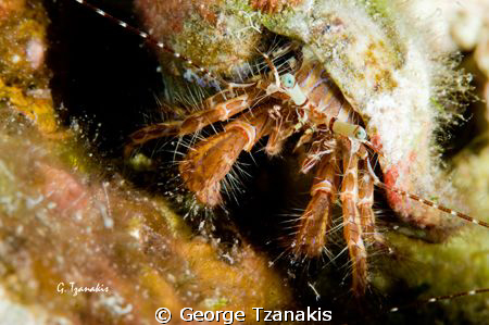 A beautiful home by George Tzanakis 