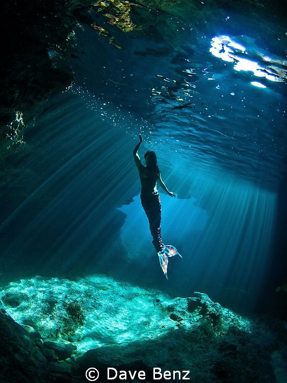 Mermaids last ride...
Even if this siren is not real...I... by Dave Benz 