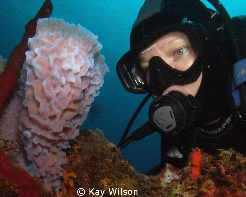 Self portrait... manual settings... this took ages, and t... by Kay Wilson 