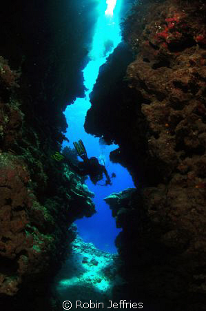 Marion reef walls with 45mm vis. Nikon D90 Tokina 10-17mm... by Robin Jeffries 