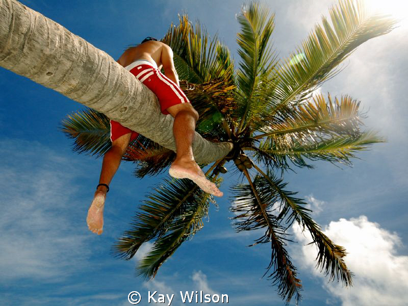 Tobago Cays, St. Vincent and the Grenadines. by Kay Wilson 