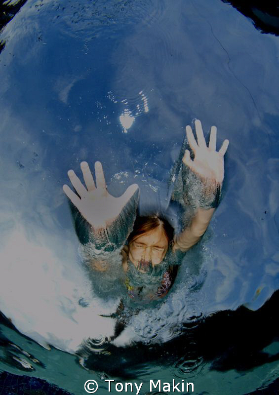 Diving in by Tony Makin 