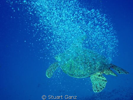 Out Gassing by Stuart Ganz 