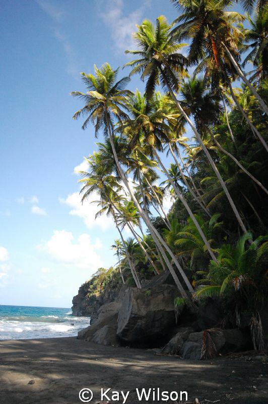 Black Point beach, windward coast, St. Vincent, St. Vince... by Kay Wilson 