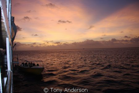 Good Morning by Tony Anderson 
