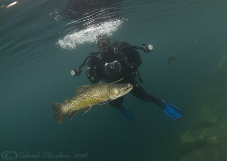 Mark with Hookie. D200, 10.5mm. by Derek Haslam 
