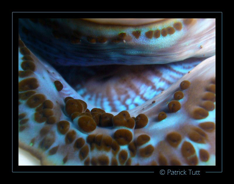 Keep smiling…Sudan - Lumix FX01 by Patrick Tutt 
