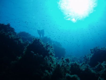 Taken in Crete on dive holiday. just point and shoot by Malcolm Houston 