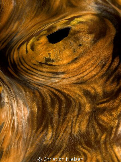 Art of Nature.
I like the patterns you find in the open ... by Christian Nielsen 