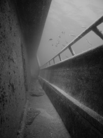 Wreck of a Dive boat sunk close to Marsa Alam in Egypt. by Henrik Gram Rasmussen 