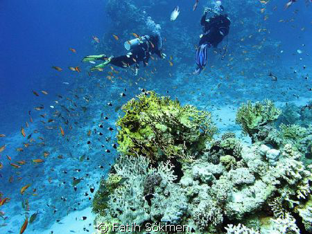 Diver on the right is shooting a shot. Ras Katy, Red Sea by Fatih Sökmen 