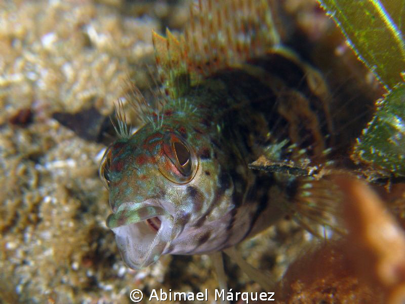 Ahhh, 3/4", Crash Boat, Aguadilla, PR. by Abimael Márquez 