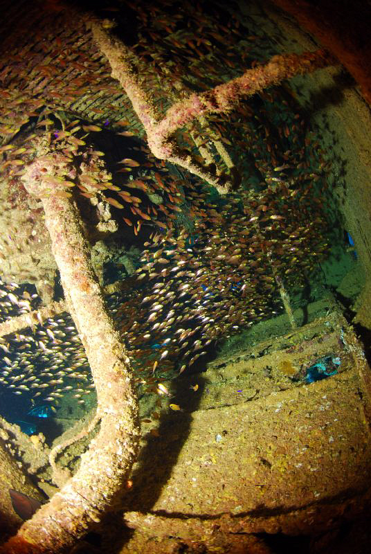 Inside the wreck! by Andy Kutsch 