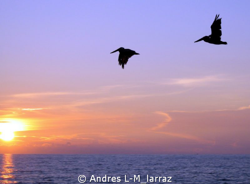 Sunrise. by Andres L-M_larraz 