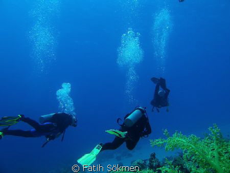 Divers and corals by Fatih Sökmen 