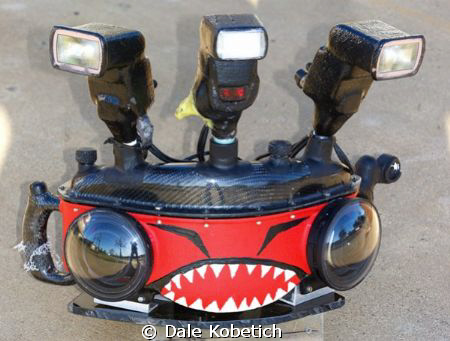 Panorama Carbon Fiber Housing   " BOLLO " ,80 nuts and sc... by Dale Kobetich 