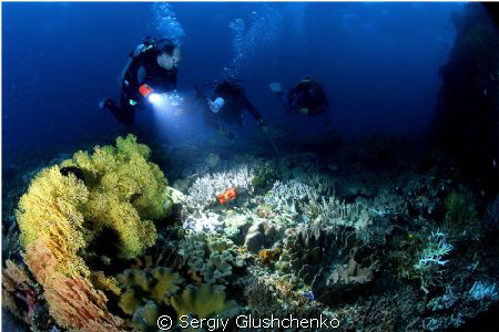 In the twilight. Raja Ampat. by Sergiy Glushchenko 