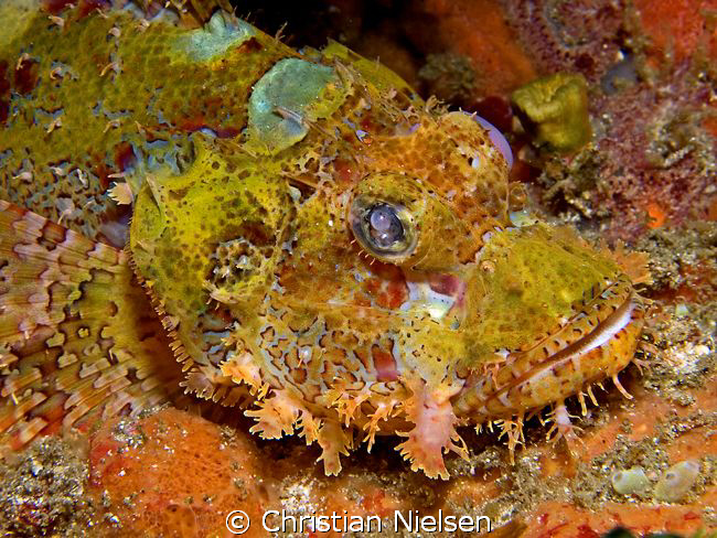 Watch out where you put your finger !!!!!!!!!!!!!
Well c... by Christian Nielsen 