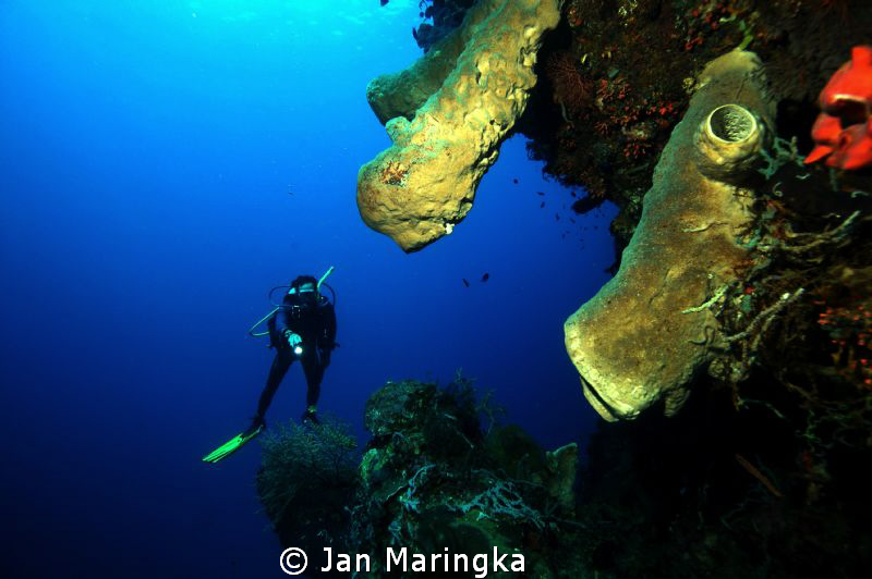 underwater scenery gorontalo by Jan Maringka 